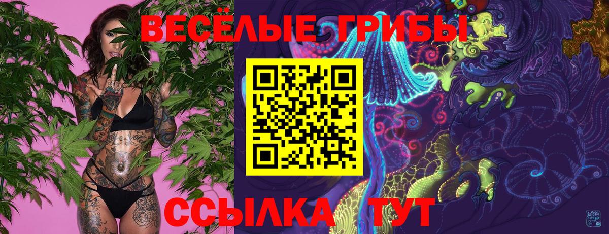 Псилоцибиновые грибы Psilocybe Екатеринбург