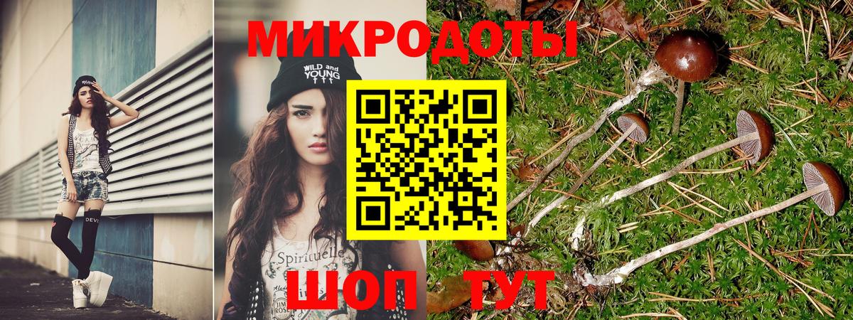 Екатеринбург  Галлюциногенные грибы мицелий  Вход с VPN  Псилоцибиновые грибы Psilocybine cubensis 